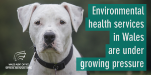 Environmental Health report social card